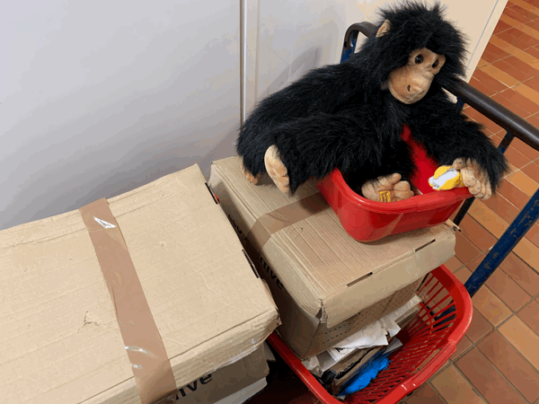 Boxes of Stuff with a Monkey Puppet on top